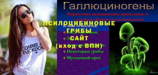 а пвп мука Абаза