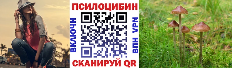 Галлюциногенные грибы Psilocybine cubensis Юхнов